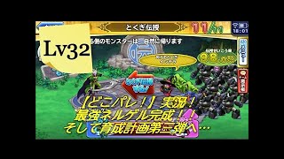 【どこパレ！】Lv30 激アツ！週末ドラゴンラッシュ！野良チャレンジ 最強ネルゲル育成計画付