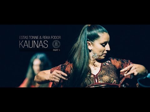 Estas Tonne & Reka Fodor @ VDU Kaunas 2014 [HD] Part II