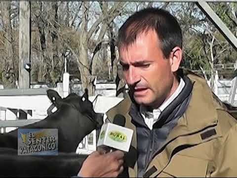 2° BLOQUE CAPÍTULO 1007, EL SENTIR PATAGÓNICO, CANAL RURAL BUENOS AIRES.