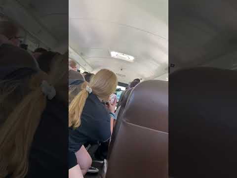 There was a fight on my chaotic bus￼