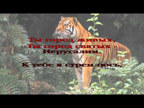 25. Есть на Небе город