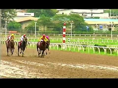 COPA INVITACIONAL  DIXIE EMPEROR desktop