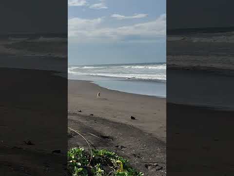 linda playa Bola de monte San Francisco Menéndez ahuachapán