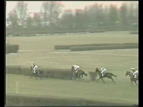 Alarmvogel, Neuß, 31.03.1993, Jagdrennen, 2 Platz