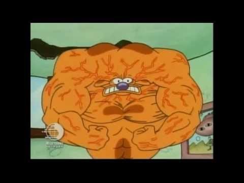 Catdog compilation 2 NASB