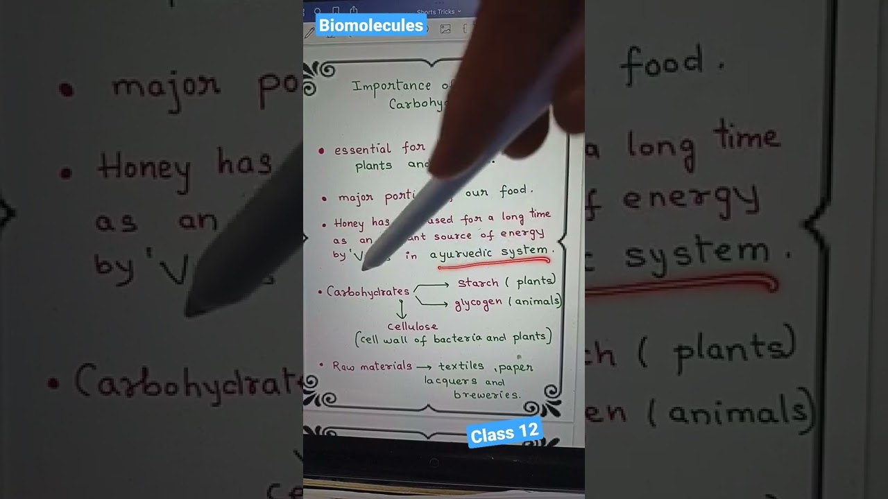 Importance of Carbohydrate
