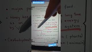 Importance of Carbohydrate