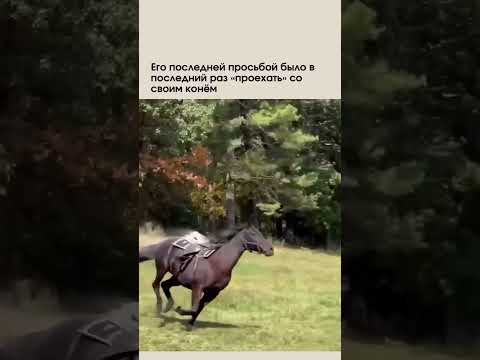 UTOPIST | Я плакал