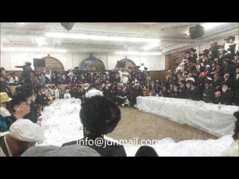 More Of Purim 5777 With Tosher Rebbe