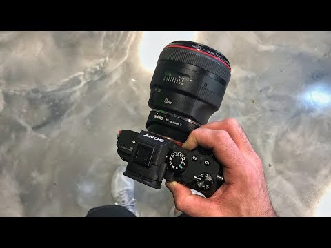 Sony A7RIII eye autofocus with Canon L series lenses - Does it work?