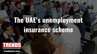 The UAE's unemployment insurance scheme