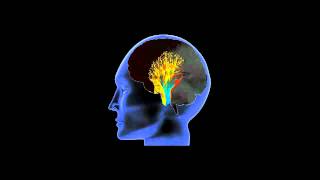 MADRUGADA Norwegian Hammerworks Corp with lyrics