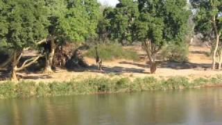 preview picture of video 'The Olifants River in South Africa'