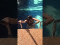 Hot Girl In Swimming Pool Hot Girl Moaning Hot Girl Swimming