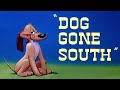 Dog Gone South 1950 Im From The South Too
