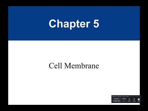 Chapter 5 Cell Membrane