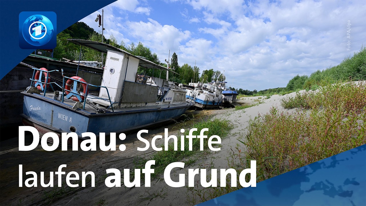 Donau trocknet aus: Folgen für Binnenschifffahrt, Touristen und Atomenergie