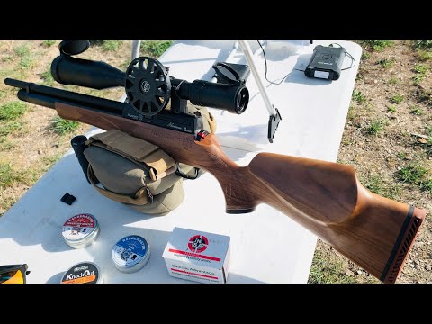 Daystate Huntsman Revere Full Review | The Most Affordable Daystate Is Amazing!