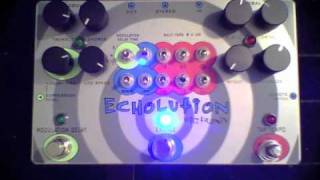 Video thumbnail for Pigtronix - Echolution -BEST OF- by Dennis Kayzer