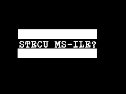 Stecu MS-Ile?