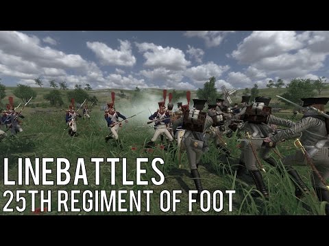 Napoleonic Wars Linebattle - 25th vs Izm