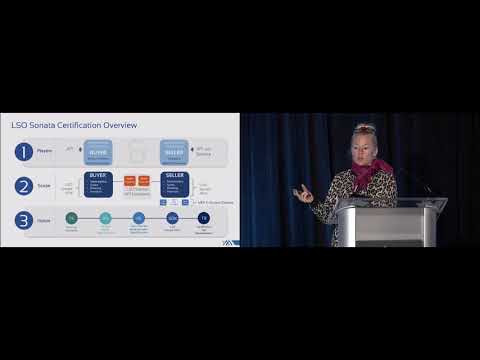 MEF 3.0 Workshop - MEF 3.0 LSO Sonata Certification