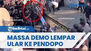 Warga Murka! Lempar Puluhan Ular ke Pendopo Indramayu, Kesal Tak Bisa Ketemu Lucky Hakim