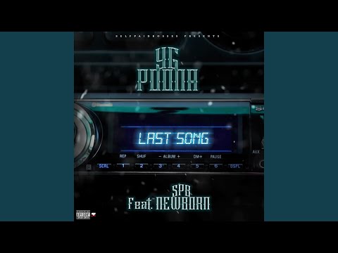 Last Song (feat. Spb Newborn)