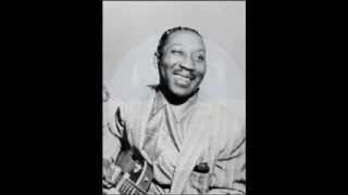 Muddy Waters - Gone to Main St