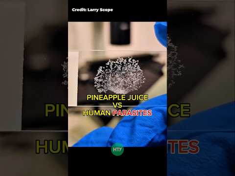 Pineapple Juice vs. Parasitic Worms – You Won’t Believe This! 🍍🧬