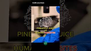 Pineapple Juice vs. Parasitic Worms – You Won’t Believe This! 🍍🧬