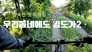 우리동네도 임도가 있어 U.내가 가는곳이 곧 길이요ㆍㆍ