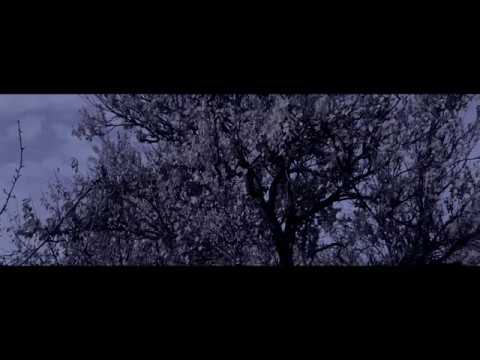 White Punk - TheSmellOfDeceit