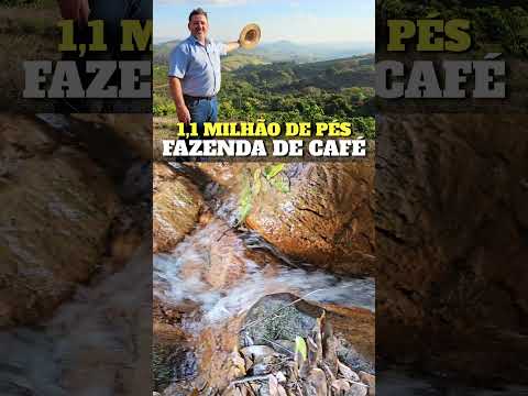 FAZENDA DE CAFÉ 394 HA EM CACONDE/SP – 1,1 MILHÃO DE PÉS | R$ 52 MI | (19) 99762-6951