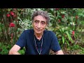 Dr. Gabor Maté  - Ayahuasca Healing at the Temple of the Way of Light