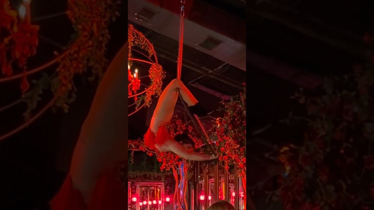 Promotional video thumbnail 1 for Lovely Aquariuss Circus Arts