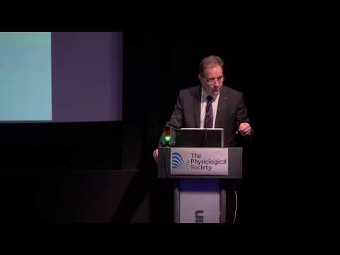 Cellular and molecular basis to circadian rhythms in mammals - Michael Hastings