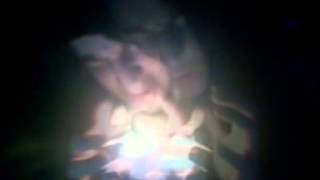 goethes erben - das schwarze wesen INTAPRÖTATION