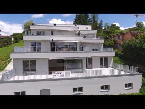 Zehnder Immobilien AG - Kurzrundflug Rebenweg Seengen