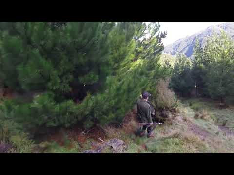 05 NZ Pig Hunting Should Have Had It On The Road