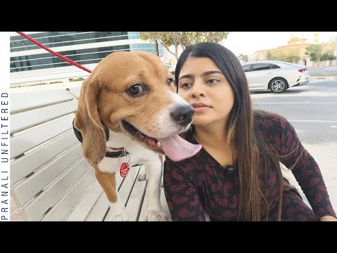 Introducing you to someone special ❤️ Pranali Unfiltered