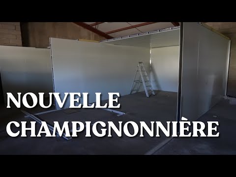 Début de la construction de ma nouvelle champignonnière dans un hangar