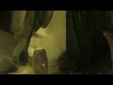 Haunted House | Part time musicians