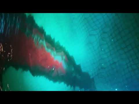 Voyage Futur - Nocturnal Flux