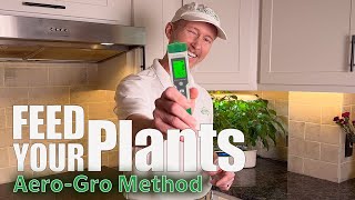 Feeding Your Plants