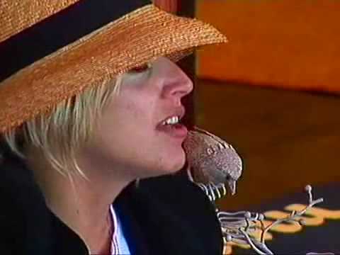 Agora video