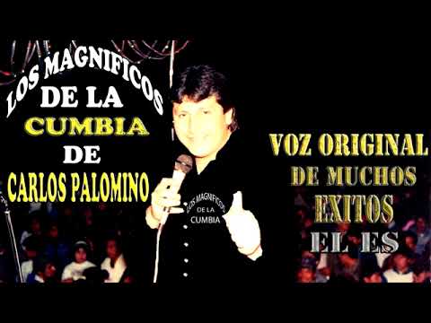 MEGAMIX 3 - Carlos Palomino y Los Magníficos de la Cumbia