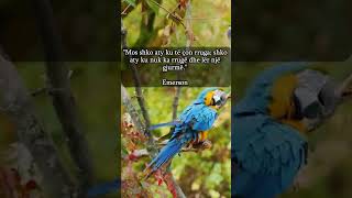 MOS SHKO ATY KU TE QON RRUGA SHKO....#motivacion #rtvdrita #dritatv #thënje #këshilla #edukim #shqip