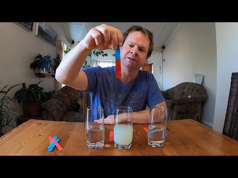 Acids and Bases: The Litmus Test (Activity 3)