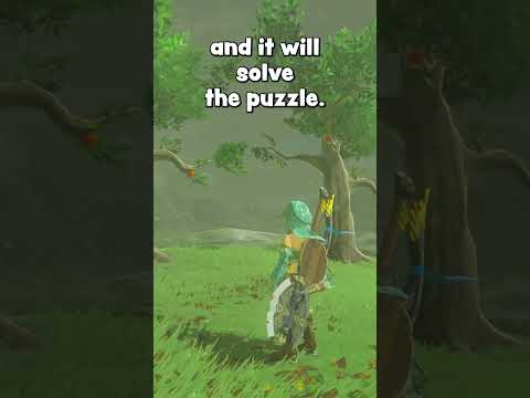 99% BotW players don't know about this Korok trick